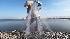 Aprende en cinco minutos Como Tirar la #Atarraya o Red de #Pesca, bien explicado, desde Cero paso a paso Ideal para Principiantes. #comotirarlaatarraya #comolanzarlatarraya | De PESCA
