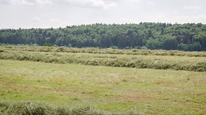 Vor über 20 Jahren startete mit dem LINER 3000 eine der erfolgreichsten Futterernte-Ideen weltweit. Mit vier statt zwei Kreiseln wurde nicht nur die Schlagkraft verdoppelt, sondern auch eine neue Dimension der Schwadqualität erreicht. Deutlich höhere Häckselleistung, geringerer Dieselverbrauch und ein spürbar angenehmeres Arbeiten begeistern auch heute noch die Häckselfahrer❗️ In der heutigen Ausführung als LINER 3600 realisiert CLAAS maximale Zuverlässigkeit durch HD-Komponenten in Kombination 