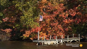 Nature lover? Then you'll appreciate this clip of the rolling hills and forests of the Berkshires in the fall. 🍂 🎥Aerial America | Smithsonian Channel