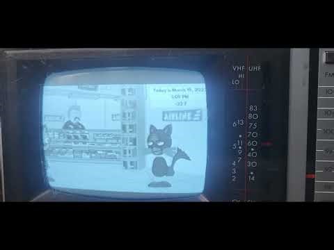 Cow Error 1099 on the 1984 TV