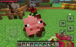 我的世界：真动作优化