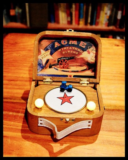 Make Your Own Flea Circus