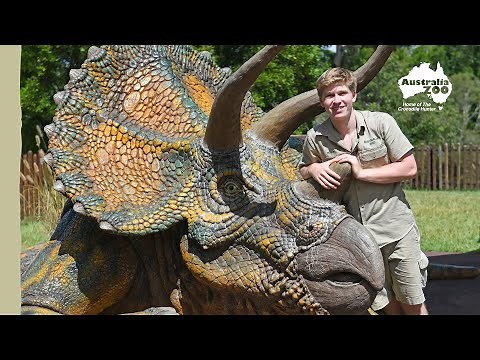 Robert Irwin's dinosaur tour | Irwin Family Adventures