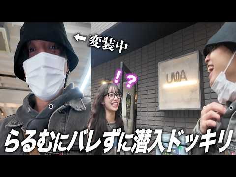 [Prank] If we sneak into the store where Shuffle Island's Rarumu works without being noticed, wil...