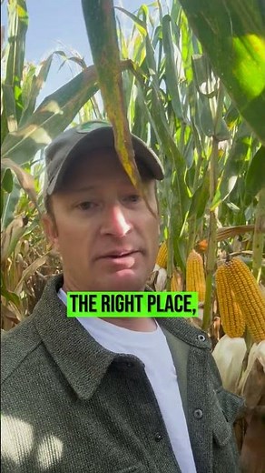 Does liquid fertilizer work?