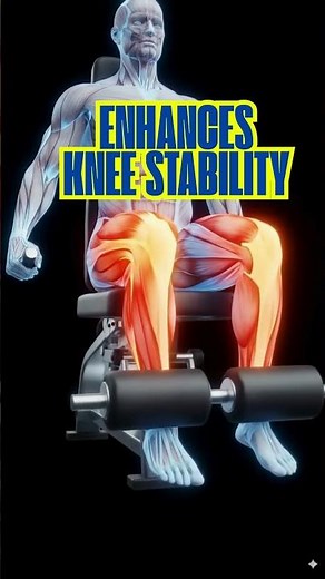 Enhances knee stability Seated Leg Extension | 3D Workout Animation for Stronger Quads #motivation