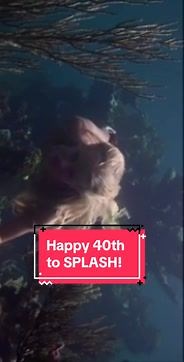 Happy 40th Anniversary to the film that started my love for mermaids ‘Splash’ (1984) directed by Ron Howard and starring Daryl Hannah, Tom Hanks, John Candy and Eugene Levy. #mermaid #mermaidtail #mermaidtok #mermaids #madison #splash #tomhanks #darylhannah