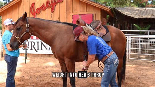 11K views · 102 reactions | Having trouble with a saddle that rolls?...