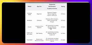 BARASHADA CRYPTOCURRENCY LESSON - 2 BITCOIN HALVING, MEMECOIN IYO STABLECOIN. | SolaPortal