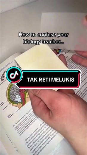 #stickynotes #notes #student