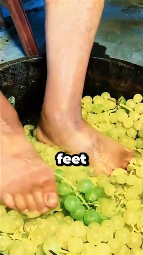 Why Do Some Winemakers Still Crush Grapes With Their Feet? 😳