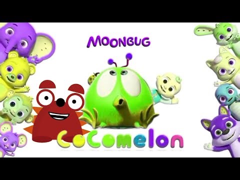 Chicky Crashes the Cocomelon Intro! | Funny Video Effects Parody