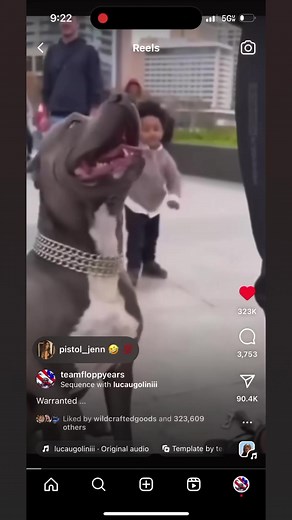 480K views · 10K reactions | Thoughts? | Team Floppy Ears | Facebook