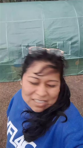 gomguz mini farm (@gomguz.mini.farm)’s videos with sonido original - gomguz mini farm