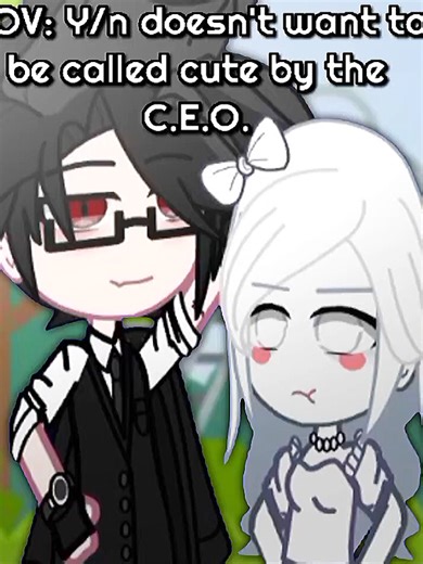 Exploring Y/N Scenarios: CEO's Perspective