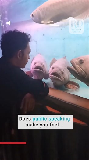 141K views · 223 reactions | What are these fish thinking?  | Reader's Digest | Facebook