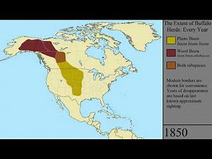 The Extent of the American Bison: Every Year