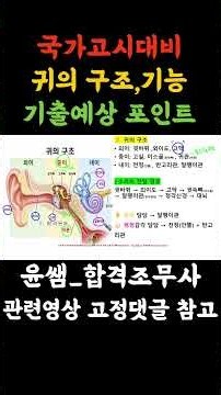 [Key Summary] Structure and Function of the Ear 👂 From Outer, Middle, and Inner Ear to Hearing an...