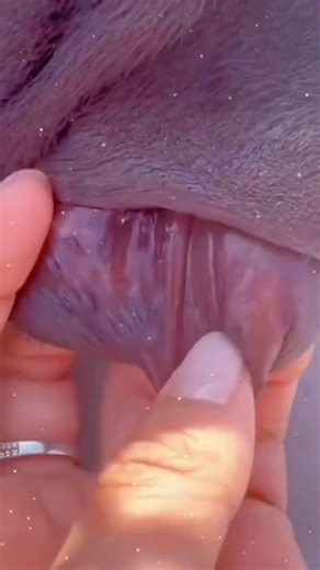 👀👀 | Alice Ardelean