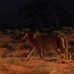 12K views · 267 reactions | Learn everything from tips and tricks on taking professional photos and videos, to maintaining your camera! Download the Canon photo companion app. What would you wanna learn about the most? De l'entretien de votre appareil, a la prise de photos et vidéos professionnelles, découvrez toutes nos astuces sur l'application Canon Photo Compagnon. #CanonCNAfrica #Companionapp #CanonCompanion | Canon Central & North Africa | Facebook