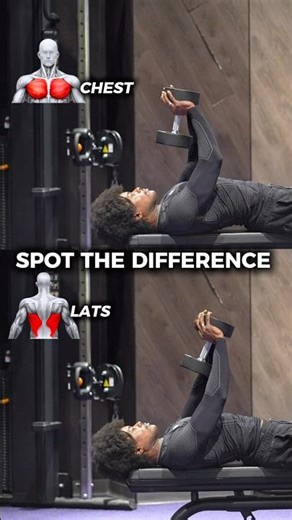 How To Actually Do Dumbbell Pullovers (Chest vs Lats) #chestexercise #latsworkout #dumbbellexercise