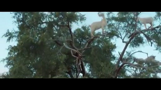 Anne-Marie - Ciao Adios (Official Video) (201