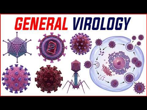 12. General Virology: Structure, Classification & Viral Life Cycle | Master the Boards 🩺
