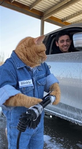 Blinkly Car Wash Worker #Blinkly #AnimatedShorts #CatAnimation #CatAtWork #fyp