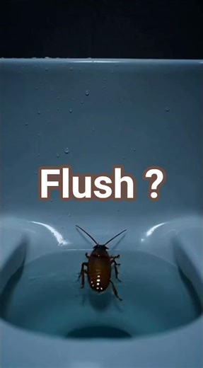 What Happens to a Cockroach After You Flush? 🚽🌊