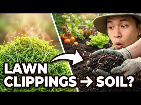 How Long Do Grass Clippings REALLY Take to Turn Into Soil - Compost Experiment