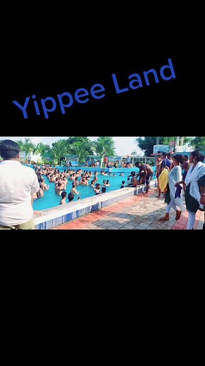 Fun Day at Yippee Land: Pool Activities with Friends