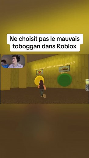 Ne choisit pas le mauvais toboggan dans Roblox. #willibed #quebec #fyp