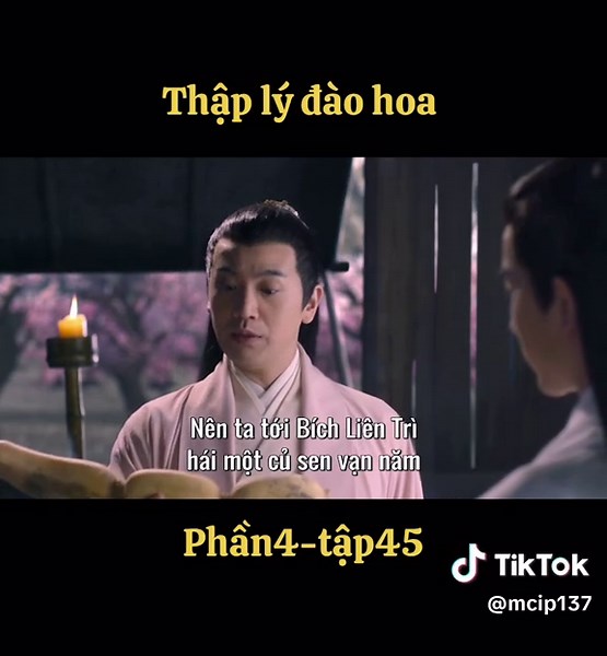 #tamsinhtamthethaplydaohoa #phimhay #phimcotrangtrungquoc