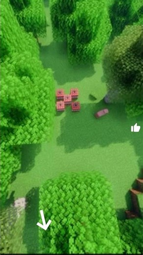 5 TNT going CRAZY in #minecraft #shorts #tnt