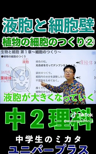植物の細胞のつくり：液胞と細胞壁の役割