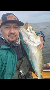 RGV Lures | AVM Fishing Club