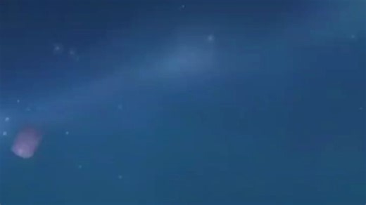 【托莉Tori】小鸟睡觉（浓缩版）