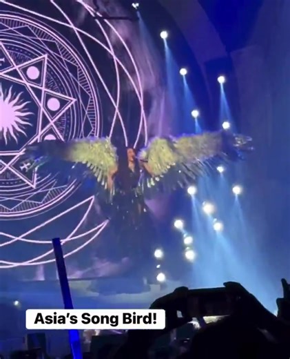 The flying Songbird ❤️ (c) @ultregine | Songbird Ran