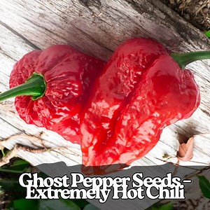 50 Ghost Pepper Samen - Bhut Jolokia, extrem scharfe Chilis - Etsy.de