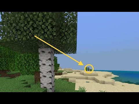 MINECRAFT HEROBRINE SIGHTING! (1.19.21)