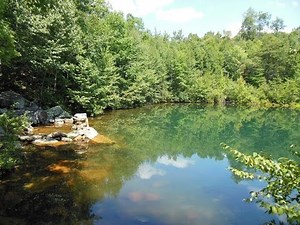 Emerald Pond - New Market Gap, Virginia