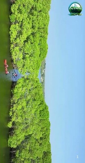 Seeking Serenity? Discover Kerala’s Hidden Gem