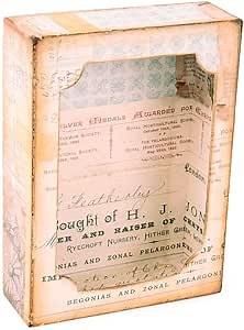 Sizzix Bigz XL Die w/Framelits Curio Box by Tim Holtz, Multicolor