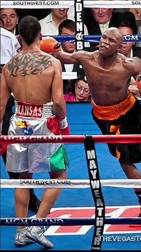 Floyd Mayweather Jr vs Mike Zambidis Full Fight Highlights - Mayweather vs Zambidis Highlights