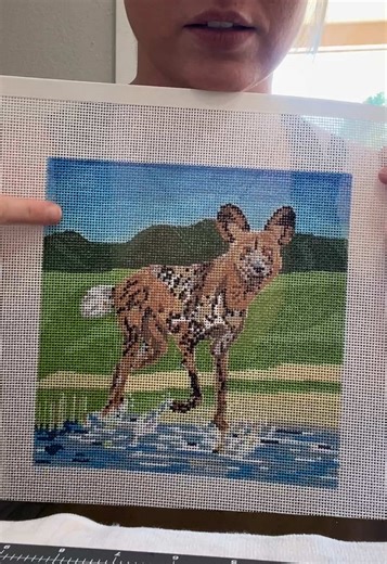 DMC Gradient Technique for Needlepoint