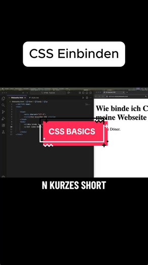 CSS BASICS: Was ist CSS? Wie binde ich es ein? #css3 #lernenmittiktok #code #informatik #lernen