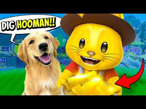 Thinknoodles! My DOG SECRETLY Signed Me Up for a GOLD HUNT (Roblox)
