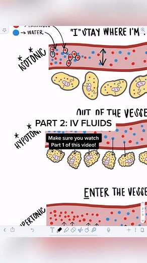 5.5K views · 73 reactions | 60 seconds of knowledge! IV Fluids! #nursing #nursingstudent #nursingschool #study #studyhacks #rn #nclex #nclext | Step Begg | Facebook