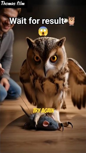 Owl vs Moving Target 🦉– AI Training Test Results! #animaladoption #shorts