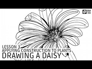 Drawabox Lesson 3: Drawing a Daisy
